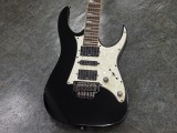 アイバニーズ イバニーズ S fujigen FGN RG 350 370 421 初心者 入門 ビギナー rga rgd rev sv sa ar