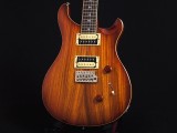 PRS ポールリードスミス カスタム 22 サンタナ santana 初心者 standard スタンダード　spalted maple スポルテッド