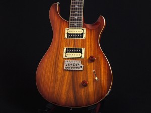 PRS ポールリードスミス カスタム 22 サンタナ santana 初心者 standard スタンダード　spalted maple スポルテッド