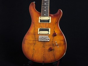 PRS ポールリードスミス カスタム 22 サンタナ santana 初心者 standard スタンダード　ZEBRAWOOD ゼブラウッド