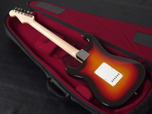 ヴァンザント バンザント momose モモセ mst moon PGM crews クルーズ seymour duncan dimarzio fender stratocaster st