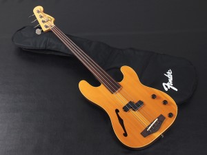 フェンダー usa mex thinline tn pb jb st eb-2 セミアコ フルアコ アコースティックベース アコベ