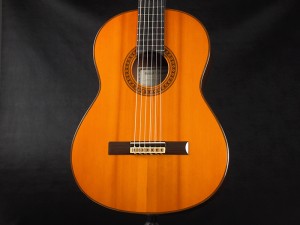 ncx ntc takamine k.yairi cg ナイロン クラシック aria 入門 