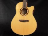 アイバニーズ イバニーズ 星野楽器 takamine yamaha k.yairi fender ovation taylor ac aw