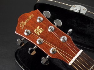 アイバニーズ イバニーズ 星野楽器 takamine yamaha k.yairi fender ovation taylor ac aw