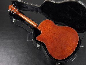 アイバニーズ イバニーズ 星野楽器 takamine yamaha k.yairi fender ovation taylor ac aw