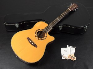 アイバニーズ イバニーズ 星野楽器 takamine yamaha k.yairi fender ovation taylor ac aw