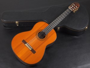 ncx ntc takamine k.yairi cg ナイロン クラシック aria 入門 