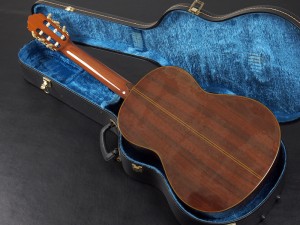 ncx ntc takamine k.yairi cg ナイロン クラシック aria 入門 