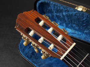 ncx ntc takamine k.yairi cg ナイロン クラシック aria 入門 