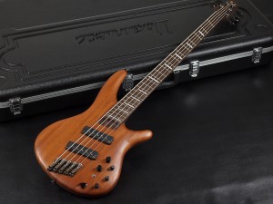 アイバニーズ イバニーズ  BTB fujigen FGN 500 505 初心者 入門 ビギナー rga rgd rev sv sa ar schecter esp edwards grass roots ltd jackson kramer chavel