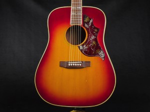 パール gibson ギブソン epiphone エピフォン j-45 j-50 j-35 ハミングバード dove southern jumbo j-200 ヘッドウェイ deviser