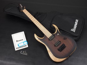 アイバニーズ イバニーズ  S fujigen FGN  RG 350 370 421 初心者 入門 ビギナー rga rgd rev sv sa ar schecter esp edwards grass roots ltd jackson kramer chavel