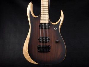 アイバニーズ イバニーズ  S fujigen FGN  RG 350 370 421 初心者 入門 ビギナー rga rgd rev sv sa ar schecter esp edwards grass roots ltd jackson kramer chavel