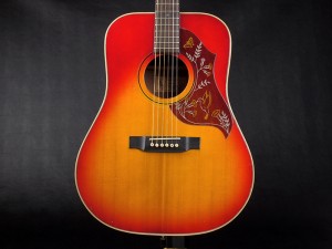 gibson epiphone エピフォン ギブソン j-45 j-50 ハミングバード j-35 dove southern jumbo 