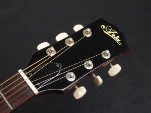 gibson epiphone エピフォン ギブソン j-45 j-50 ハミングバード j-35 dove southern jumbo