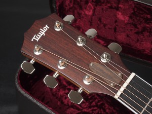 テイラー タイラー 114 110 210 310 510 316 D-18 martin D-28 ローズウッド　ドレッドノート　dreadnought 410ce 414e 414ce 416e 416ce