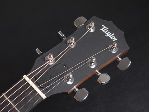 テイラー タイラー アカデミー　114 110 10e 12 12e マホガニー　mahogany　ドレッドノート　dreadnought ovangkol オバンコール　初心者　入門　ビギナー 子供　女性　キッズ　女子　