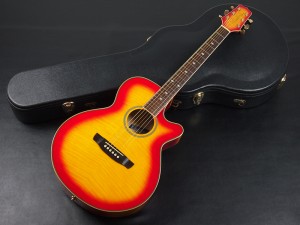 takamine ptu dmp tdp tsf dsf ef tc クーダー fender dct フェンダー taylor テイラー 入門