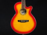 takamine ptu dmp tdp tsf dsf ef tc クーダー fender dct フェンダー taylor テイラー 入門