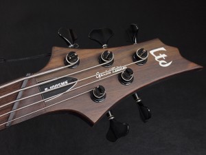 イーツー esp イーエスピー edwards エドワーズ grass roots グラスルーツ ibanez アイバニーズ イバニーズ SR E-II  dingwall ディングウォール ディングオール