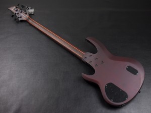 イーツー esp イーエスピー edwards エドワーズ grass roots グラスルーツ ibanez アイバニーズ イバニーズ SR E-II  dingwall ディングウォール ディングオール