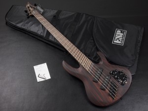 イーツー esp イーエスピー edwards エドワーズ grass roots グラスルーツ ibanez アイバニーズ イバニーズ SR E-II  dingwall ディングウォール ディングオール