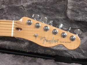 フェンダー　テレキャスター　アメリカン　オリジナル　ビンテージ　ヴィンテージ　シリーズ japan usa customshop カスタムショップ　profesional american vintage LTD 限定品　2016　2018　マレーシアン　ブラックウッド　All rose P-90 P90 ALLROSE オールローズ　