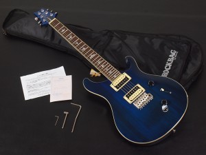 フェルナンデス burny バーニー スペクター rex gibson ギブソン サンダーバード schecter シェクター