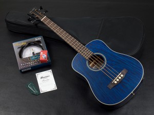 バッカス headway ヘッドウェイ taylor テイラー baby gs mini aria アリア　アコースティック　ベース　アコベ　acoustic bass mini ミニ　小型　キッズ　初心者　ビギナー　女性　ショートスケール　small short scale