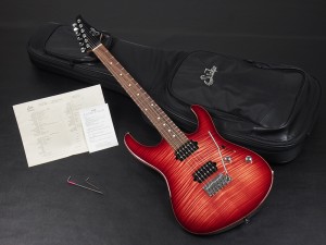 ジョン サー tom anderson トム アンダーソン james tyler ジェームス ジェイムス タイラー classic クラシック モダン モダーン drop top ドロップトップ schecter シェクター ex EXCEED エクシード ESP SNAPPER スナッパー