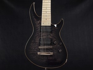 ESP イーエスピー エドワーズ grass roots グラスルーツ LTD schecter シェクター jackson ジャクソン soloist hellraiser ソロイスト ヘルレイザー ホライゾン ホライズン