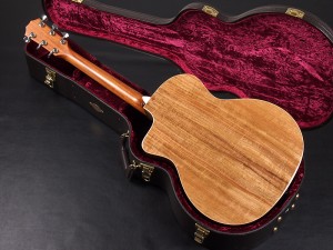 テイラー タイラー 114 110 210 214ce 210e 210  D-18 martin D-28 Koa Hawaiian ハワイアンコア　ハワイアン　デラックス　deluxe カッタウェイ　エレアコ electric acoustic ES1 ES2 初心者　入門　ビギナー