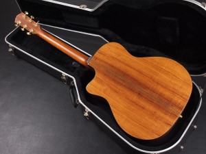 フェンダー sonoran ソノラン malibu takamine タカミネ  高峰 redondo newporter レドンド ニューポーター taylor テイラー academy アカデミー