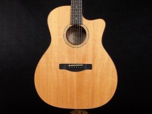 フェンダー sonoran ソノラン malibu takamine タカミネ  高峰 redondo newporter レドンド ニューポーター taylor テイラー academy アカデミー