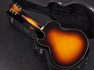 イーストマン フルアコ　full acoustic aco semi ES-175 Gibson AR-403CE Ply-wood series​ プライウッド　シリーズ　AR-800　AR-804C　AR-805　Ibanez Godin 5th avenue ゴダン