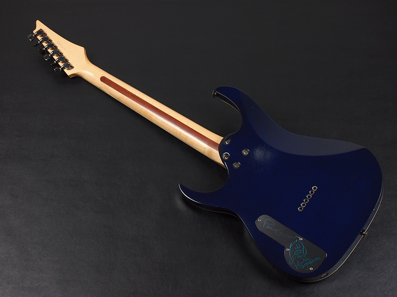 Ibanez PGM90HAM 税込販売価格 ￥188,000- 中古 美しいルックスの限定 ...