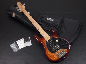 ミュージックマン Stingray スティングレイ スティング レイ S.U.B EX SX active ray4 スターリン スターリング 5 strings 弦　キルテッド　キルト　メイプル　アイランド　バースト　サンバースト　sunburst 2 tone 3 color カラー　トーン　レッチリ　フリー　flea bass 