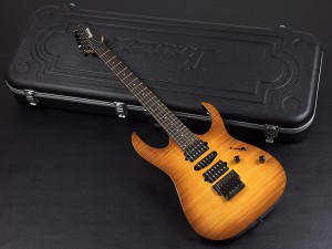 アイバニーズ イバニーズ  S fujigen FGN  RG 350 370 421 初心者 入門 ビギナー rga rgd rev sv sa ar schecter esp edwards grass roots ltd jackson kramer chavel