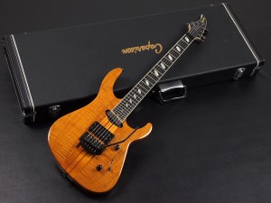 u32035 Caparison　TAT Special 2009