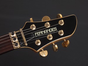 u31650 FERNANDES　APG-85S