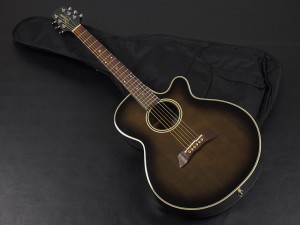 u32190 Takamine　PT-106