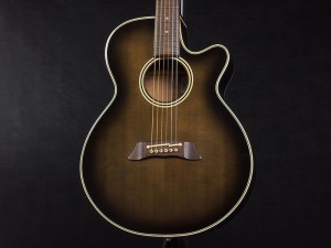 u32190 Takamine　PT-106