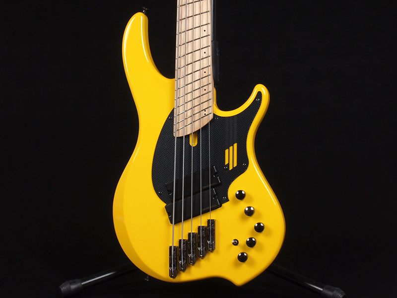 DINGWALL NG-2 5strings Adam ”Nolly” Getgood Signature Model