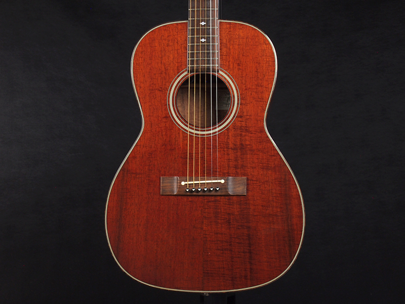 TAKAMINE タカミネエレアコPT-406 専用ハードケース付