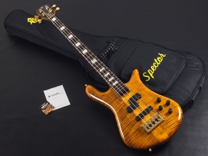 スペクター スチュアート ネッド スタインバーガー Ned Steinberger NS Design Stuart spectar Europe Czech euro Series NS NS-2 USA SSD Limited LTD プレミアム ウッド タイガーアイ グロス ユーロ ヨーロッパ チェコ Rebop warwick streamer カーリー メイプル