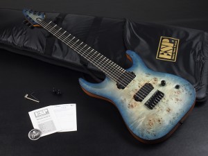 ESP イーエスピー エドワーズ grass roots グラスルーツ LTD schecter シェクター jackson ジャクソン soloist hellraiser ソロイスト ヘルレイザー ホライゾン ホライズン