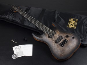 ESP イーエスピー エドワーズ grass roots グラスルーツ LTD schecter シェクター jackson ジャクソン soloist hellraiser ソロイスト ヘルレイザー ホライゾン ホライズン