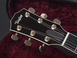 テイラー T5 T3 Custom Classic STD standard godin duet steel thin body semi electric acoustic ゴダン 薄型