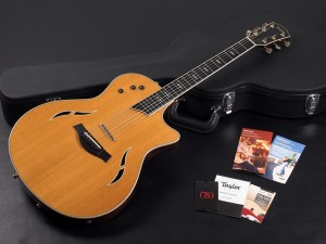 テイラー T5 T3 Custom Classic STD standard godin duet steel thin body semi electric acoustic ゴダン 薄型